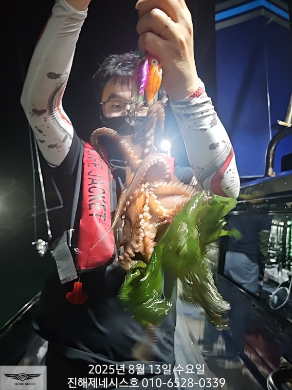 8_hbgUd018svc1158tkysydtxd_bbj2f7.jpg