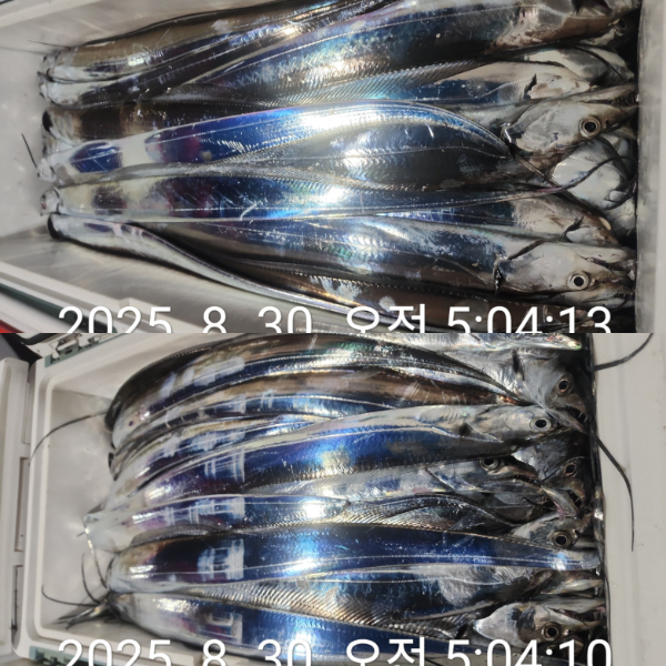 1000070898.jpg