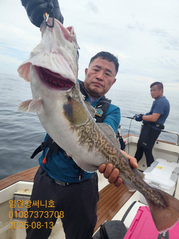 a814d209bded6478ca0cc97c71b1e176.jpg