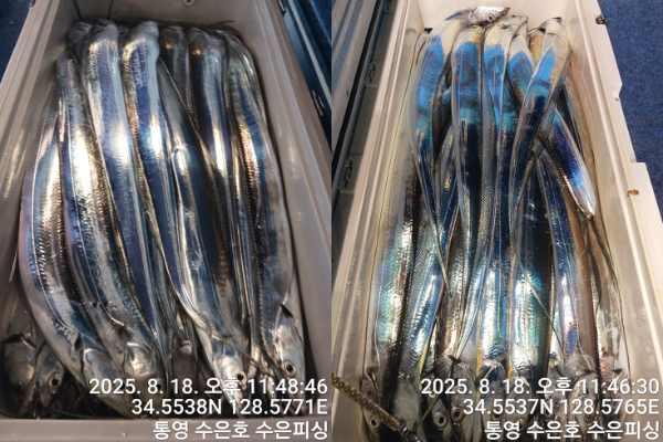 1755550103142-tile.jpg