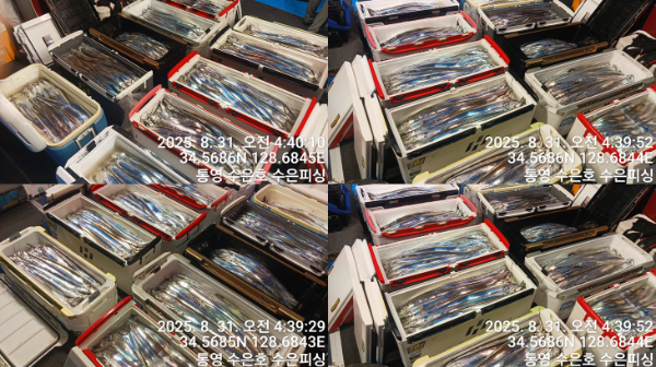 1756587934191-tile.jpg