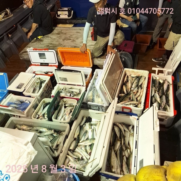 군산 선상낚시, 바다낚시 출조 전문 ☆서군산낚시☆_사진_20250803_9.jpg