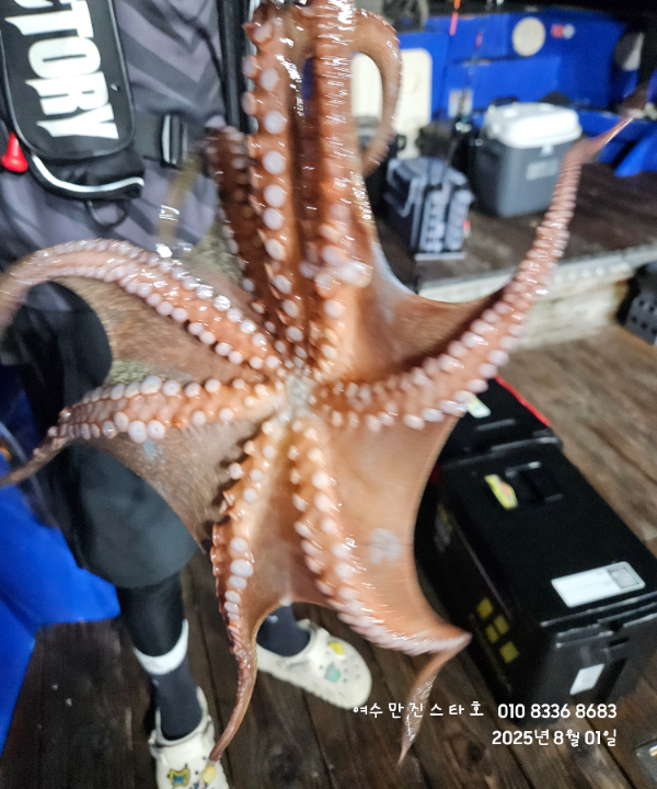 a84371562f9c494cae7946cb26425275.jpg