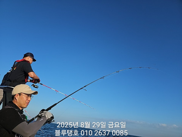 20250829_173313.jpg