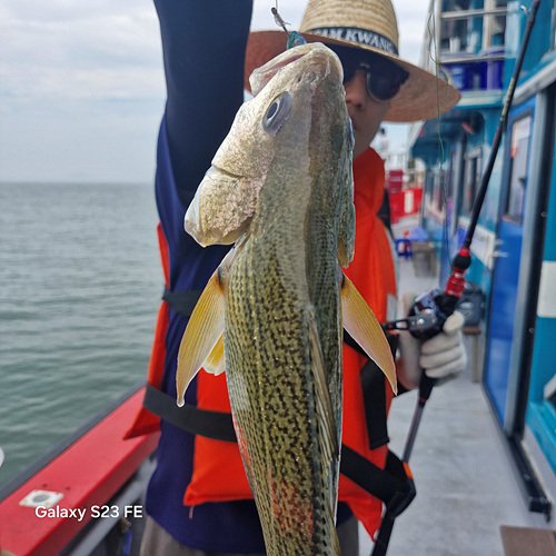 인천쭈꾸미낚시 (1).jpg