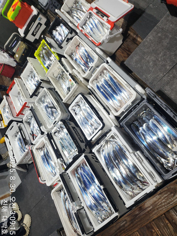 KakaoTalk_20250830_080944142_13.jpg