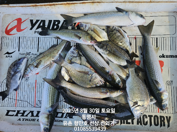aa422da310744d53c0d84949dbbed2e4.jpg