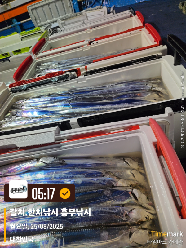 aab4ffb376dd8fe733f65cb7d96741d0.jpg