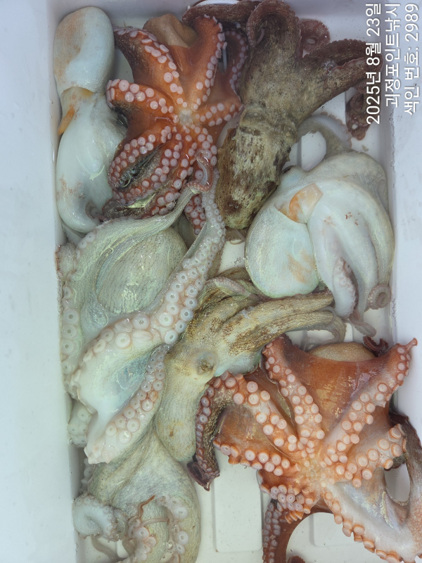 KakaoTalk_20250823_144819149_11.jpg