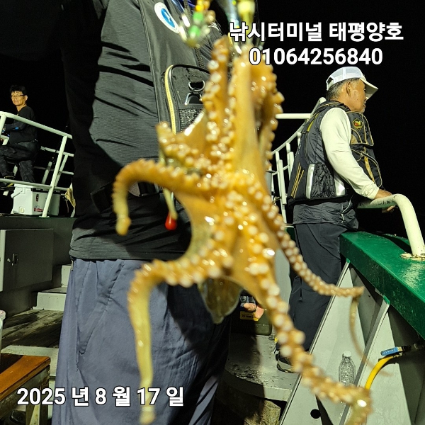 KakaoTalk_20250817_023046900_14.jpg