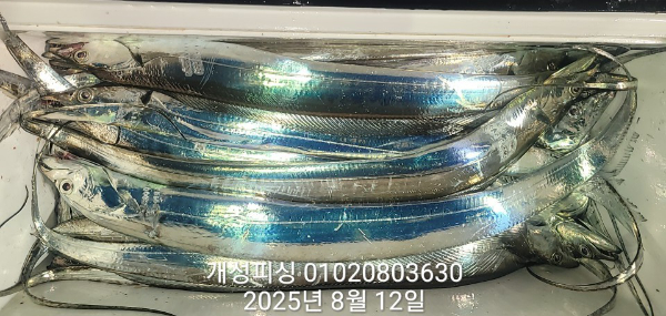 acc8fe21627a7f206c8e303c488b3404.jpg