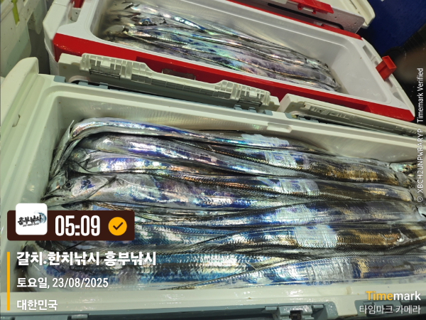 2025-08-23 05.09.22_대한민국_(제목-갈치.한치낚시 흥부낚시).jpg