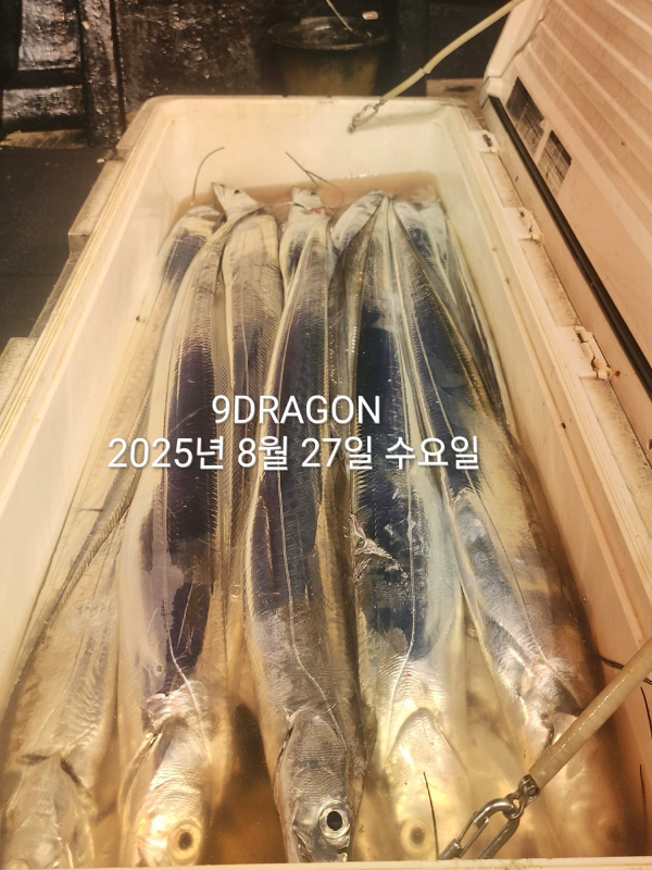 55D106D6-576F-46CA-8EB4-A713E9B4415A.jpeg