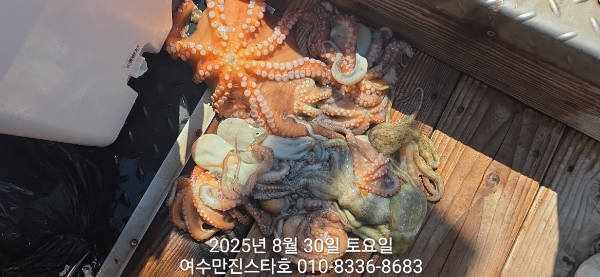 ada49de9226fdd67ee5e6ceba624ebab.jpg