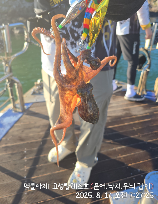 IMG_20250817_072725.jpg