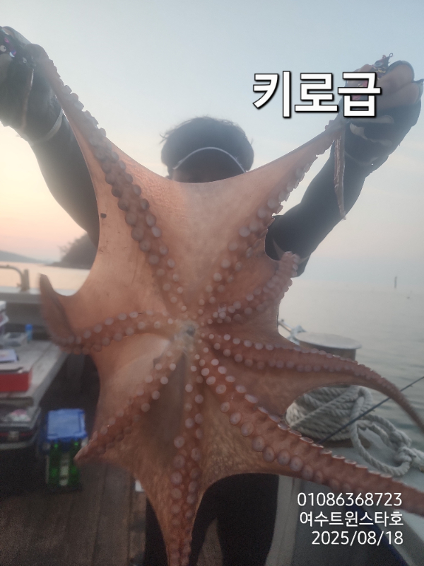 addd6a2576c6536537c163e4582505aa.jpg