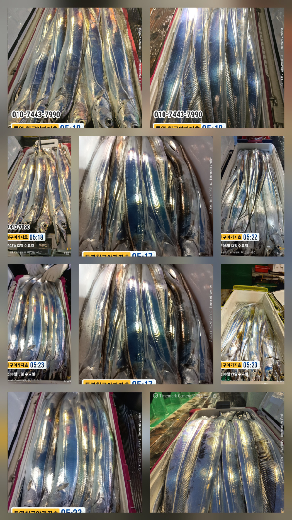 1000020852.jpg