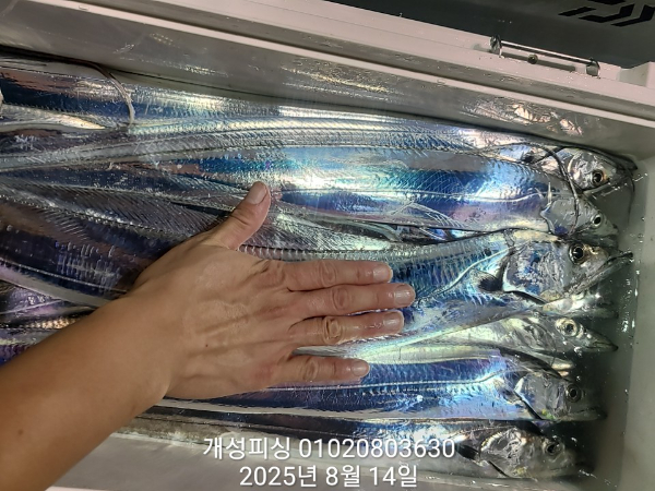 ae6810af7fb02d700d85c3b44b70bf24.jpg