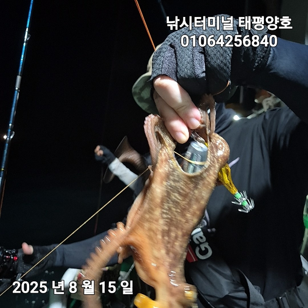 KakaoTalk_20250816_022629382_02.jpg