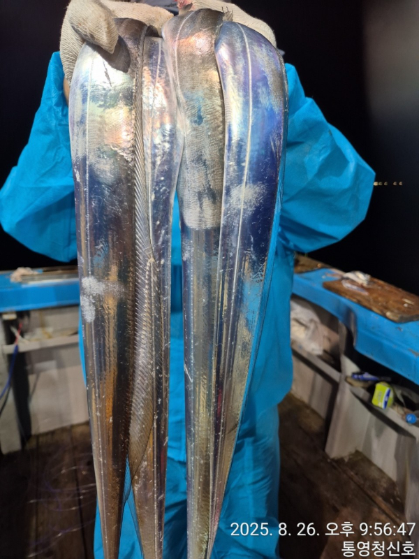 바다의 전설 부평25_사진_20250827_6.jpg