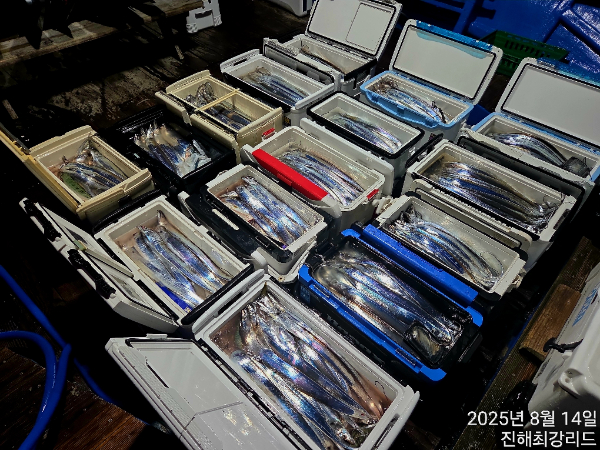 afaf36d58716b077949e70d2b1be32dc.jpg