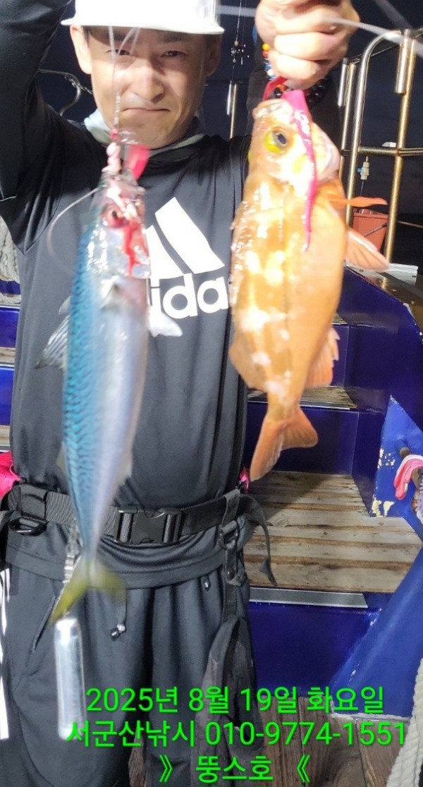 군산 선상낚시, 바다낚시 출조 전문 ☆서군산낚시☆_사진_20250820_19.jpg