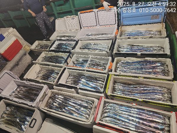 KakaoTalk_20250827_180442912_11.jpg