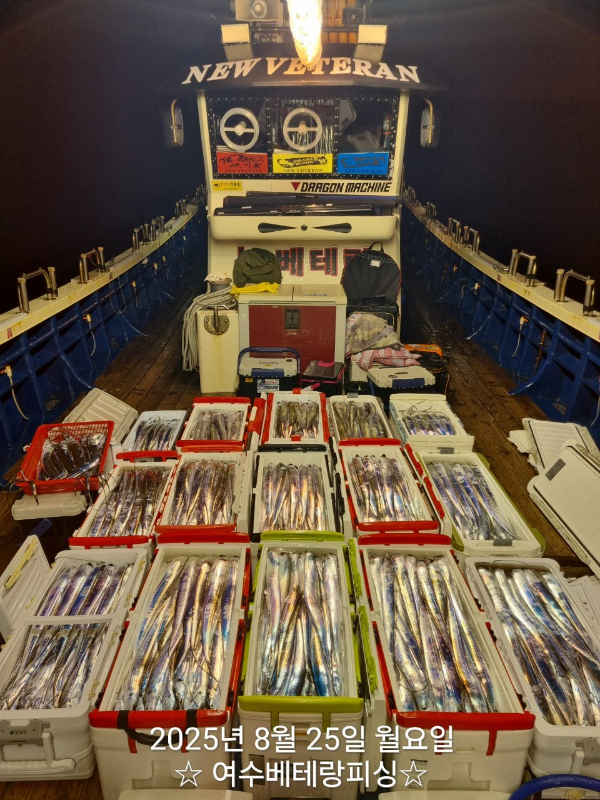 1000082727.jpg
