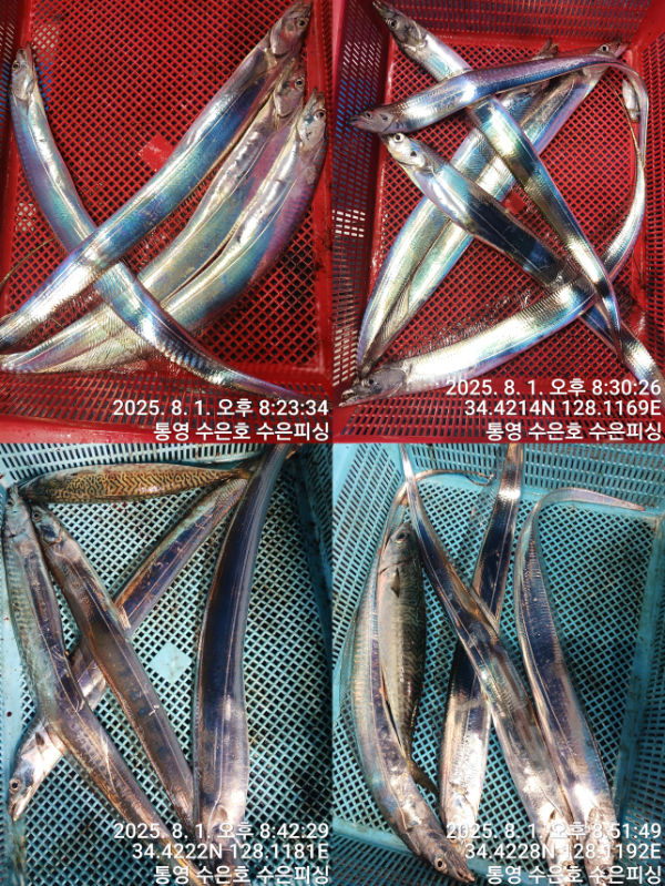 1754081628849-tile.jpg