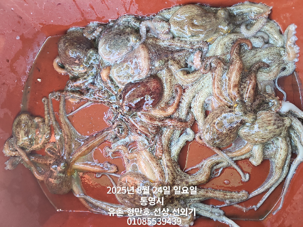 b0bf9b8bcea78873e188c6e687bcb495.jpg