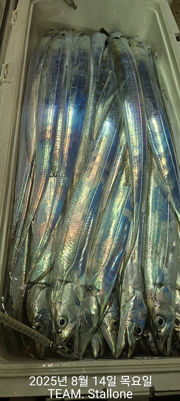 1000035781.jpg