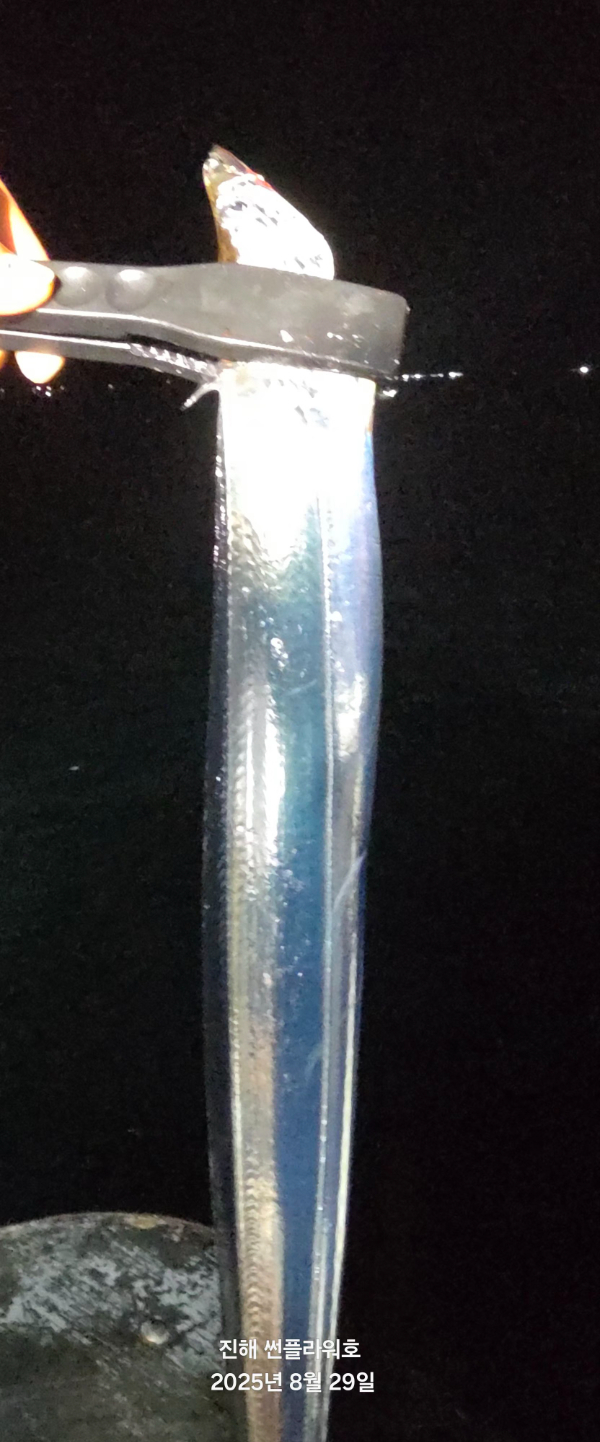 59549.jpg