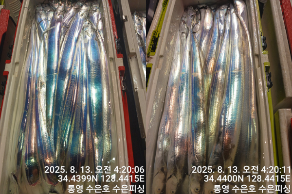 1755027076294-tile.jpg