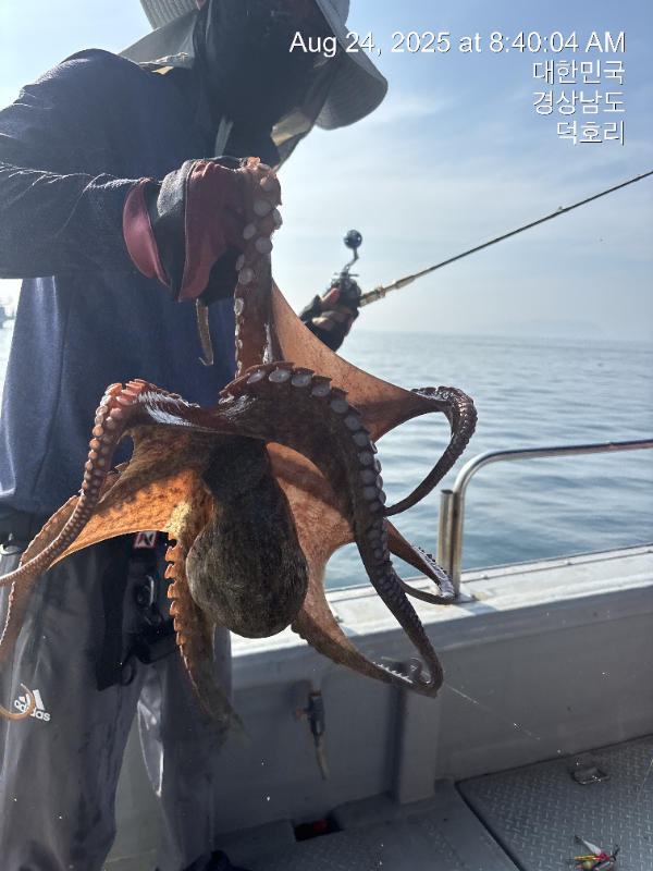 KakaoTalk_20250825_100201975_03.jpg