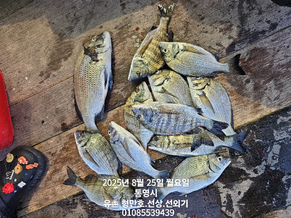 b3348fd91462fbc295dd48aaa6faf8f0.jpg