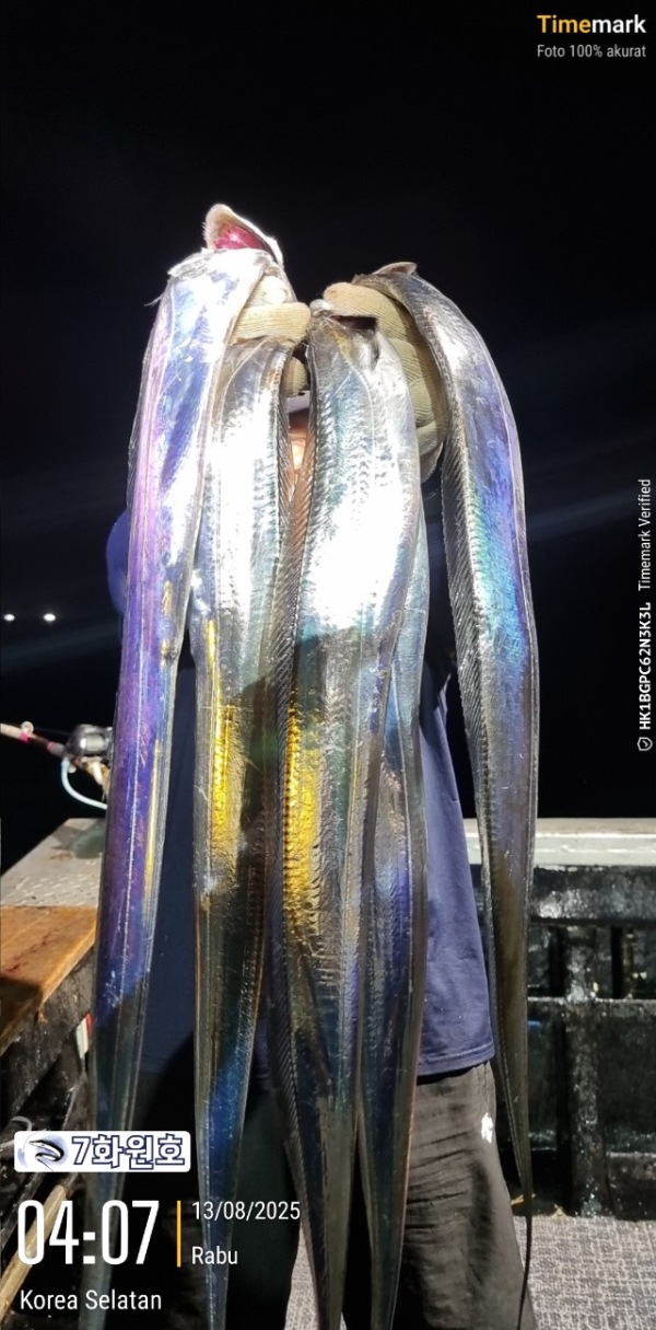 제주갈치낚시 화원호_사진_20250813_5.jpg