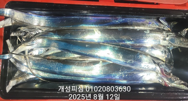 b3ce257779ac3dd6d0cd30f7885dfdaa.jpg