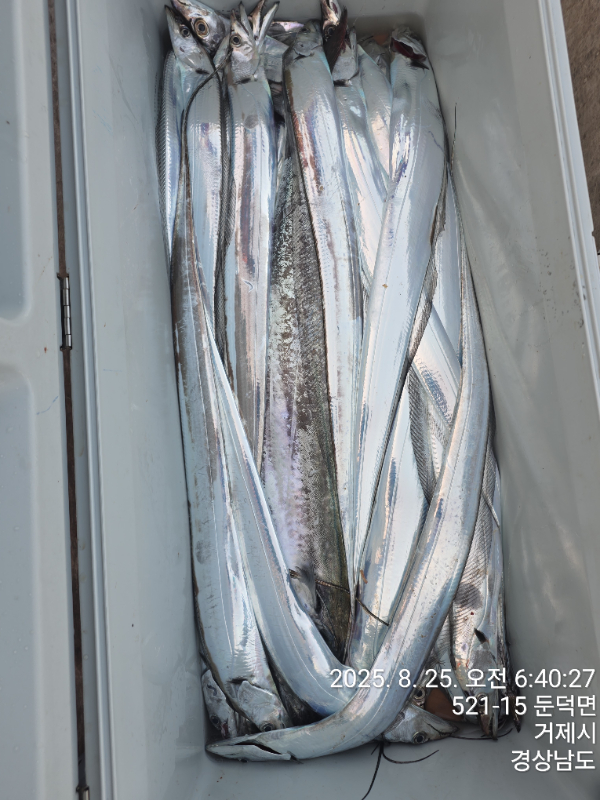 b405655ab99cad607b291ac871434601.jpg