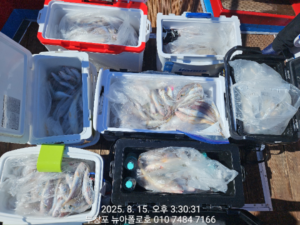 b4140f67d37055dbcbfb6090131ef88b.jpg