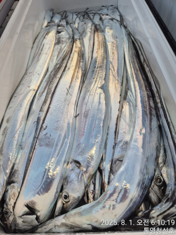 바다의 전설 부평25_사진_20250801_19.jpg