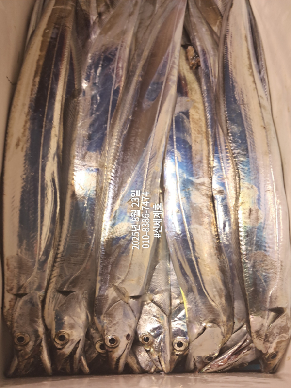 1755908724443.jpg