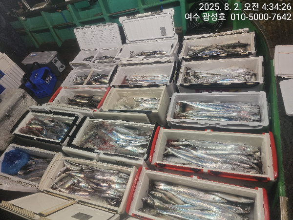 KakaoTalk_20250802_072714062_15.jpg