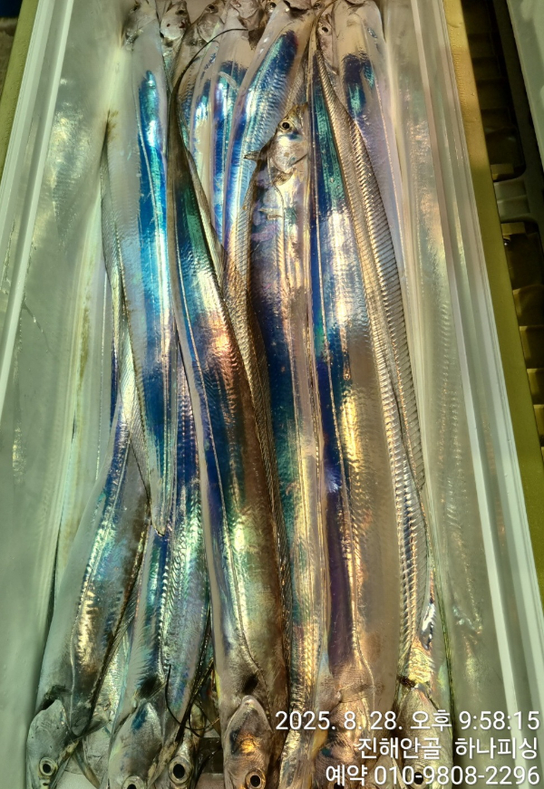 1000123388.jpg