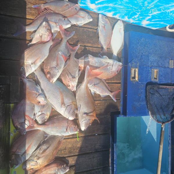 마검포 대한호(VIP)_사진_20250823_5.jpg