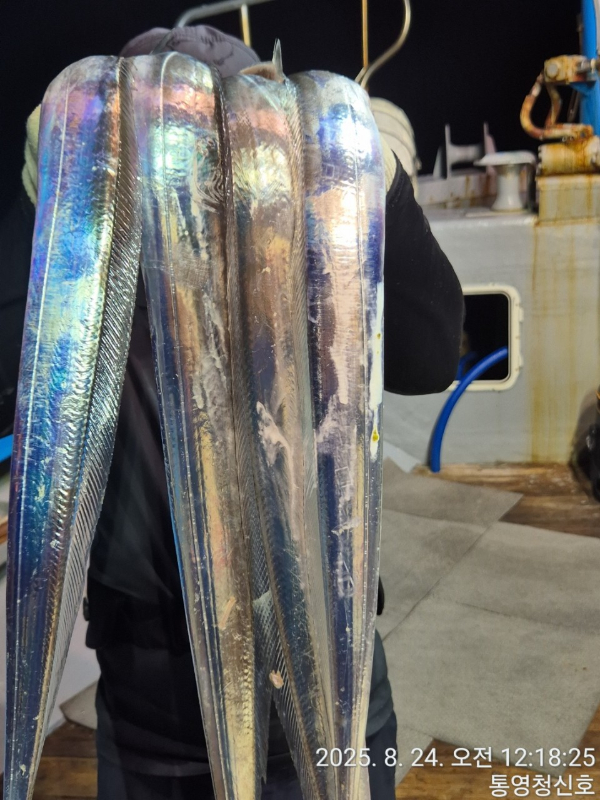 바다의 전설 부평25_사진_20250824_12.jpg