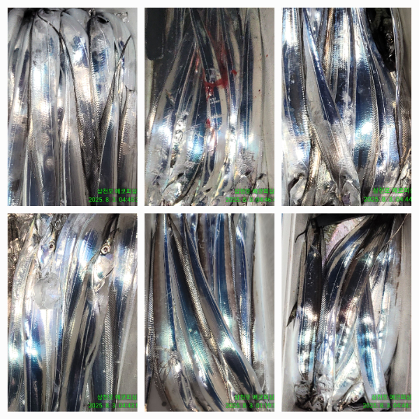 b5615adb17be47de23ffd3c1988e808c.jpg