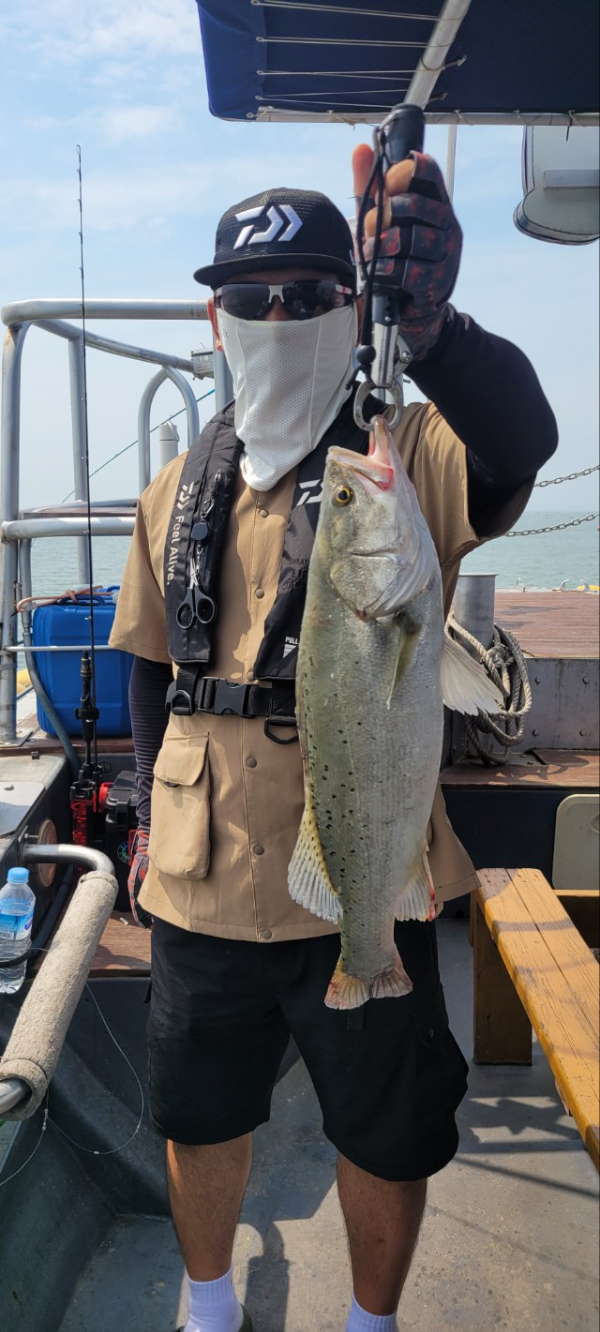 예지퀸호 농어외수질&어초낚시 경기인천권_사진_20250730_3.jpg