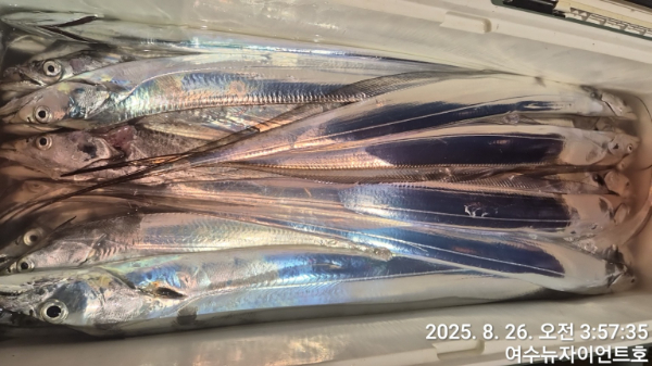 1756169459002-5.jpg