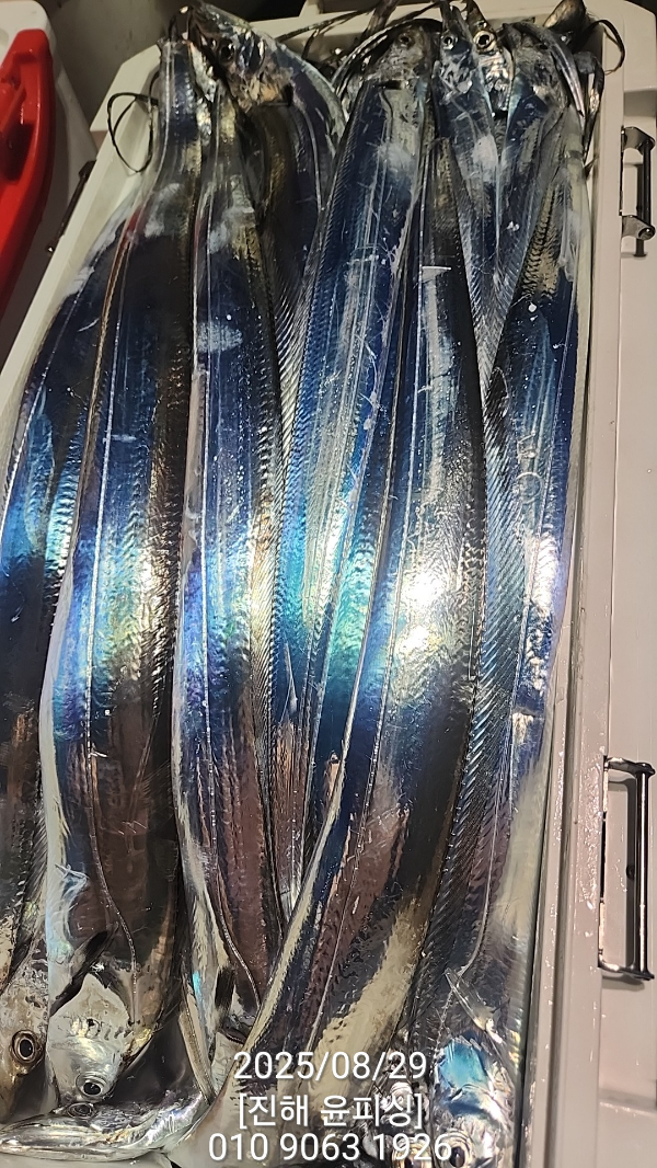 b63e90093711d10ae641567106327952.jpg
