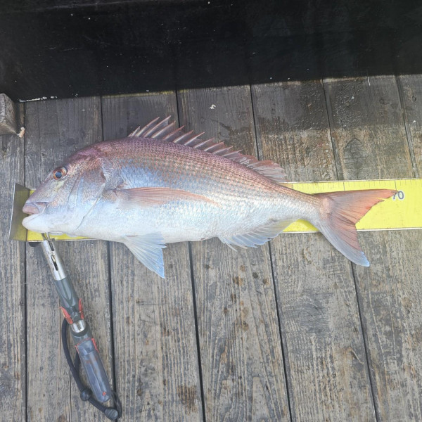 마검포 대한호(VIP)_사진_20250816_8.jpg